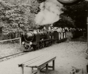 Jahresgalerie - Bild 1956