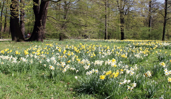 Galerie Fr&uuml;hling im Gro&szlig;en Garten - Bild 3