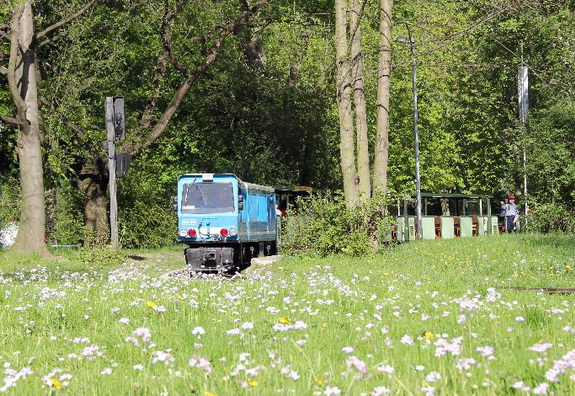 Galerie Fr&uuml;hling im Gro&szlig;en Garten - Bild 9