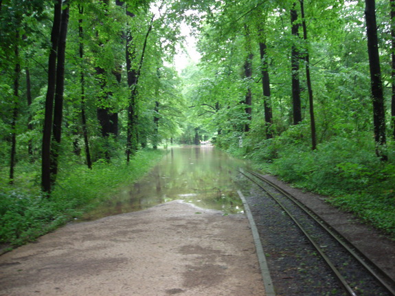 Galerie Hochwasser 2013 - Bild 4