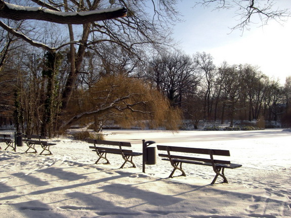 Galerie Winter im Gro&szlig;en Garten - Bild 7