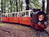 Bild Parkeisenbahn Friedrichsgr&uuml;n