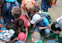 Bild: Informationen zum Hobby f&uuml;r Kinder in Dresden - September