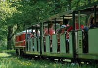 Full steam through the park